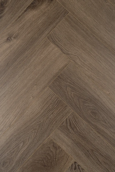 Дуб • Темпл